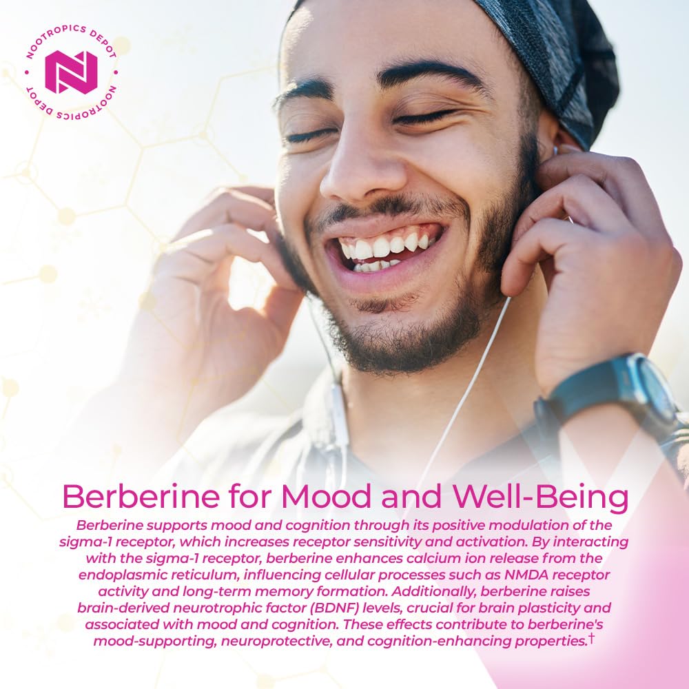 Foto 7 pulgar | Suplemento Nootropics Depot Berberine Hcl + Silimarina 500 Mg - Venta Internacional.