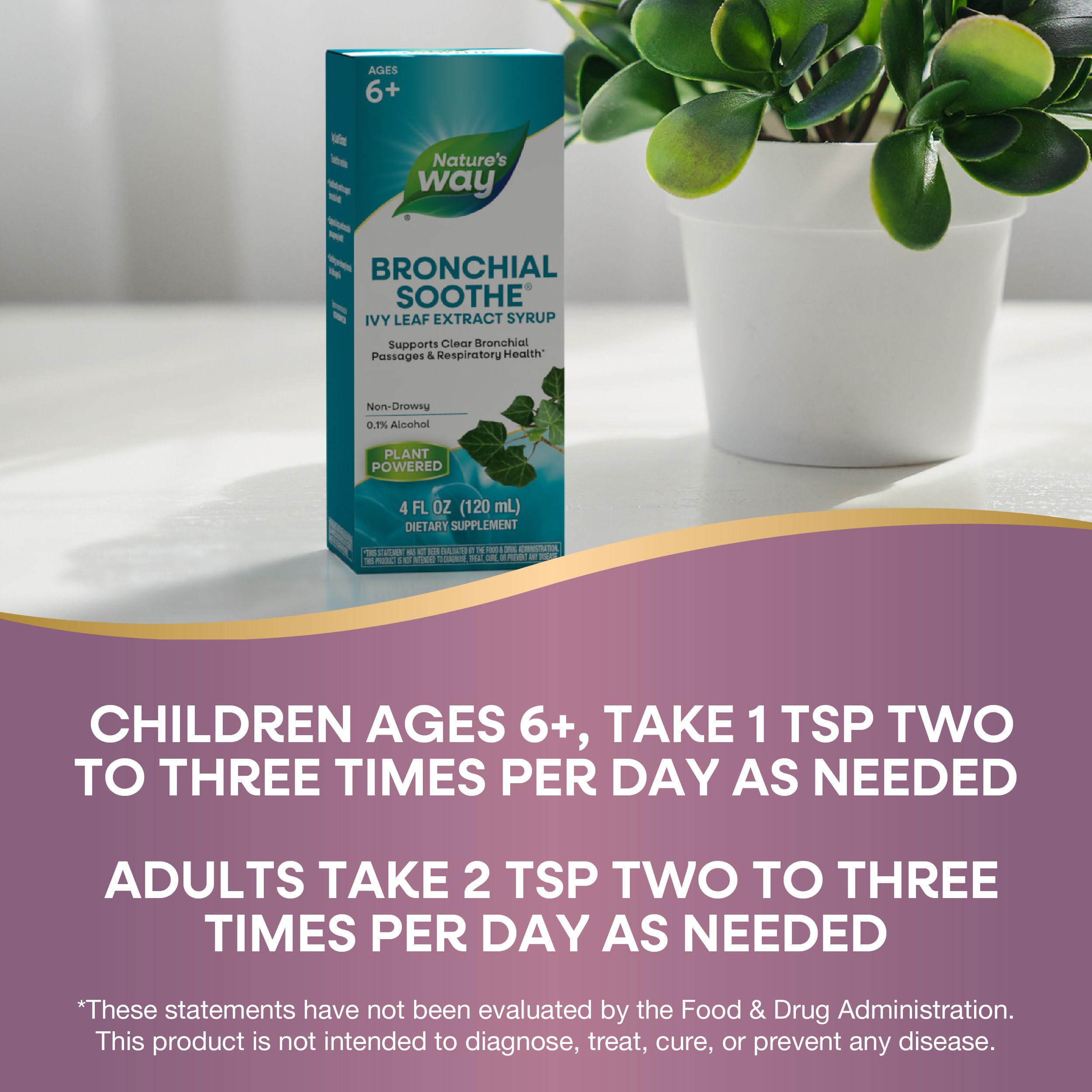 Foto 7 pulgar | Sirope Nature's Way Bronchial Sothe  Extracto De Hoja De Hiedra  120 Ml - Venta Internacional.