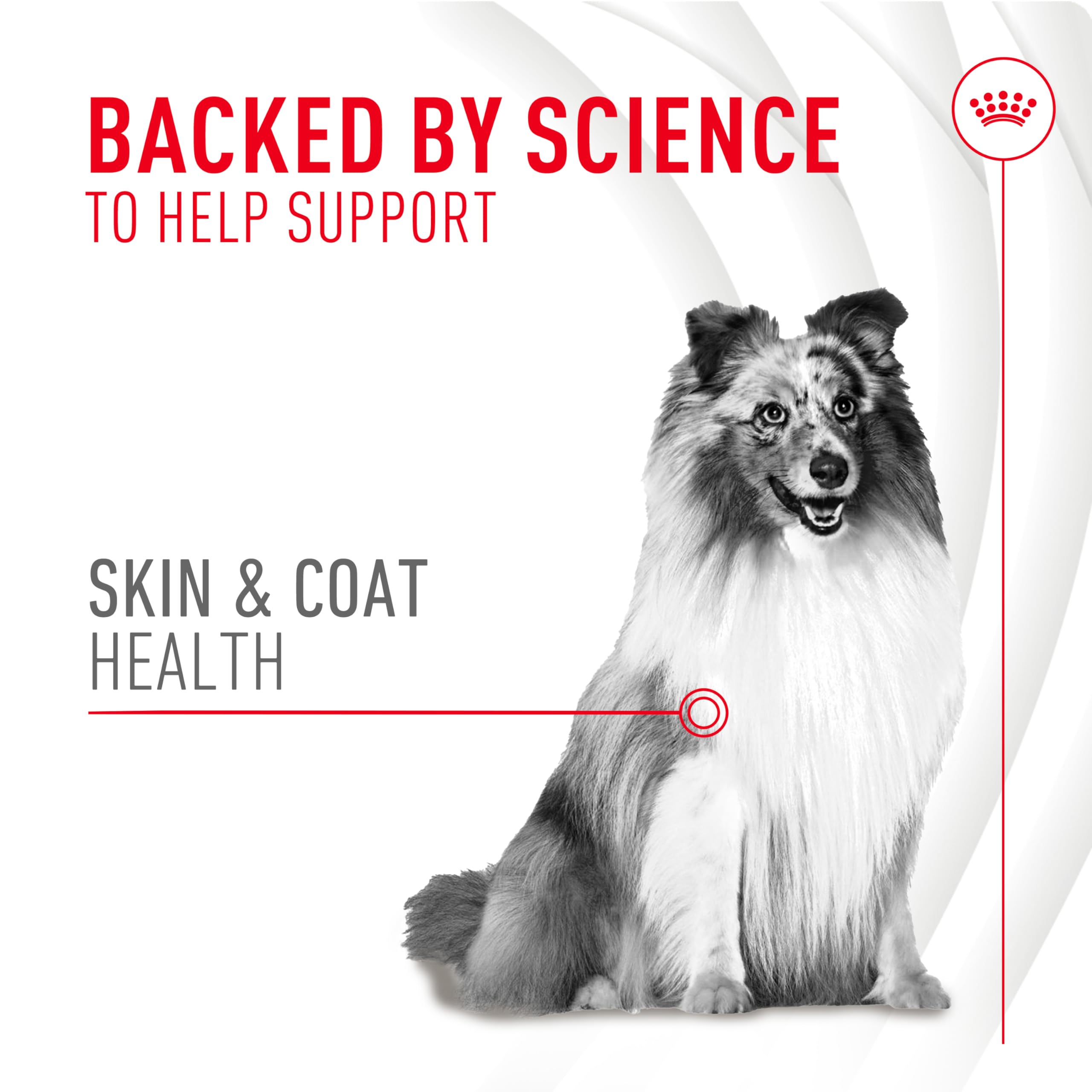 Foto 4 pulgar | Suplemento Soft Chews Royal Canin Skin & Coat Para Perros  250 Ml - Venta Internacional.