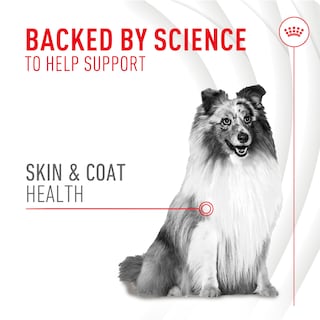 Foto 3 | Suplemento Soft Chews Royal Canin Skin & Coat Para Perros 250 Ml - Venta Internacional.