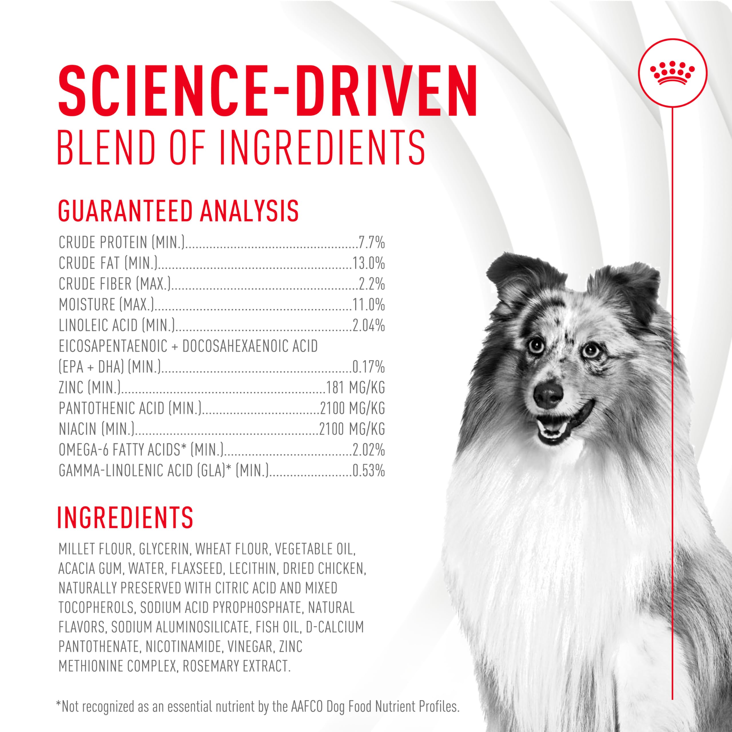 Foto 5 | Suplemento Soft Chews Royal Canin Skin & Coat Para Perros  250 Ml - Venta Internacional.