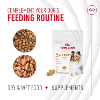 Foto 6 | Suplemento Soft Chews Royal Canin Skin & Coat Para Perros 250 Ml - Venta Internacional.