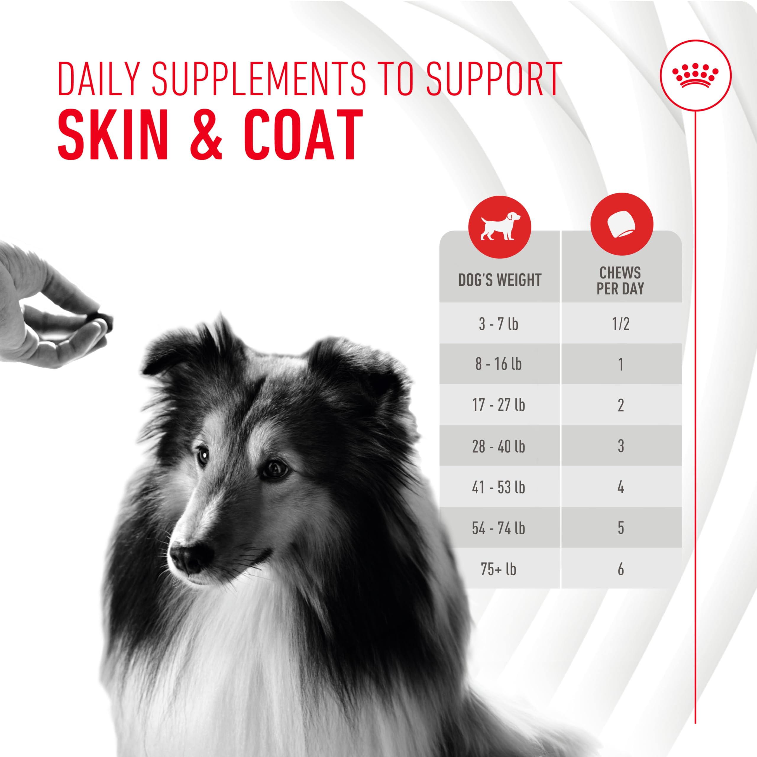 Foto 8 pulgar | Suplemento Soft Chews Royal Canin Skin & Coat Para Perros  250 Ml - Venta Internacional.