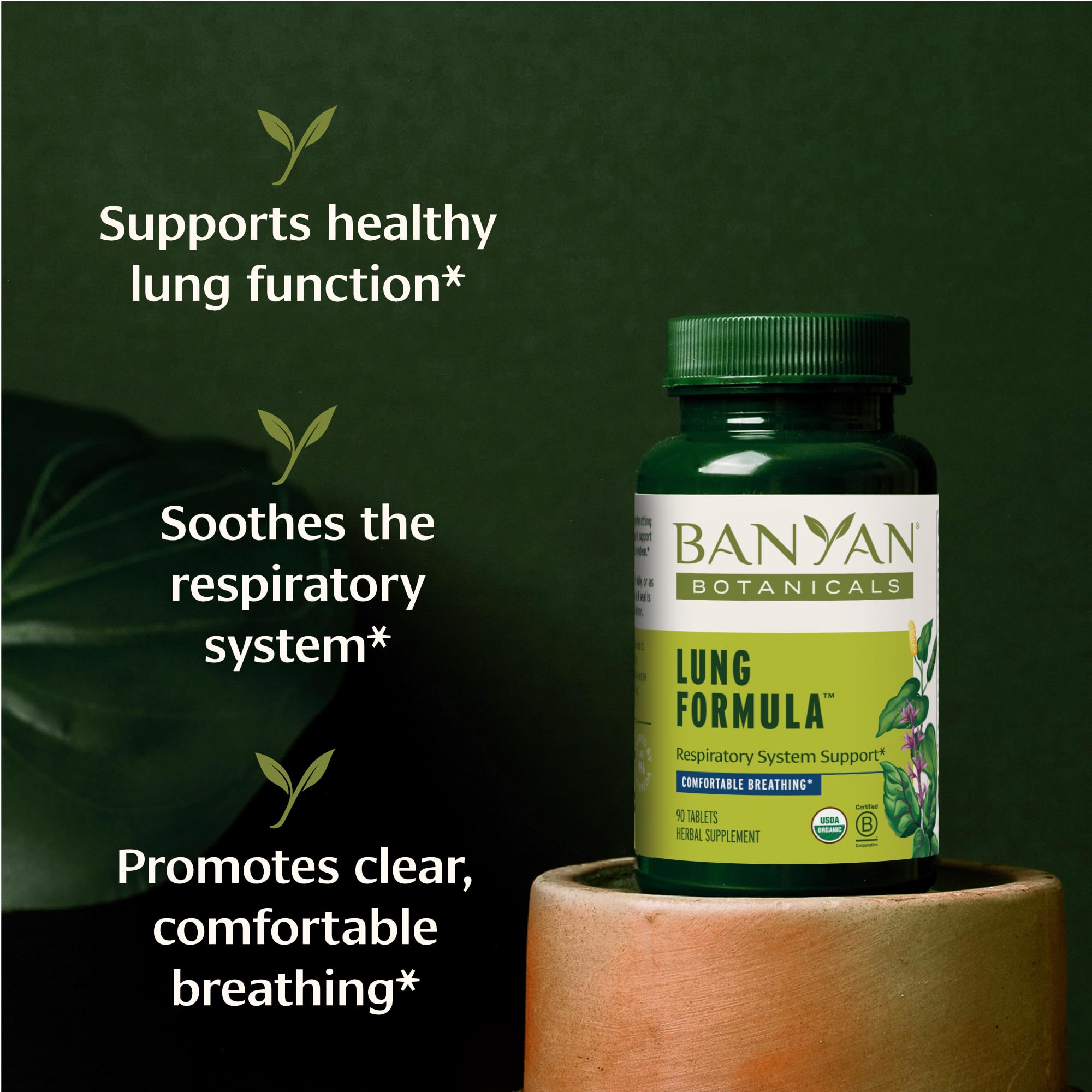 Foto 2 | Suplemento Banyan Botanicals Lung Formula 90 Comprimidos - Venta Internacional.