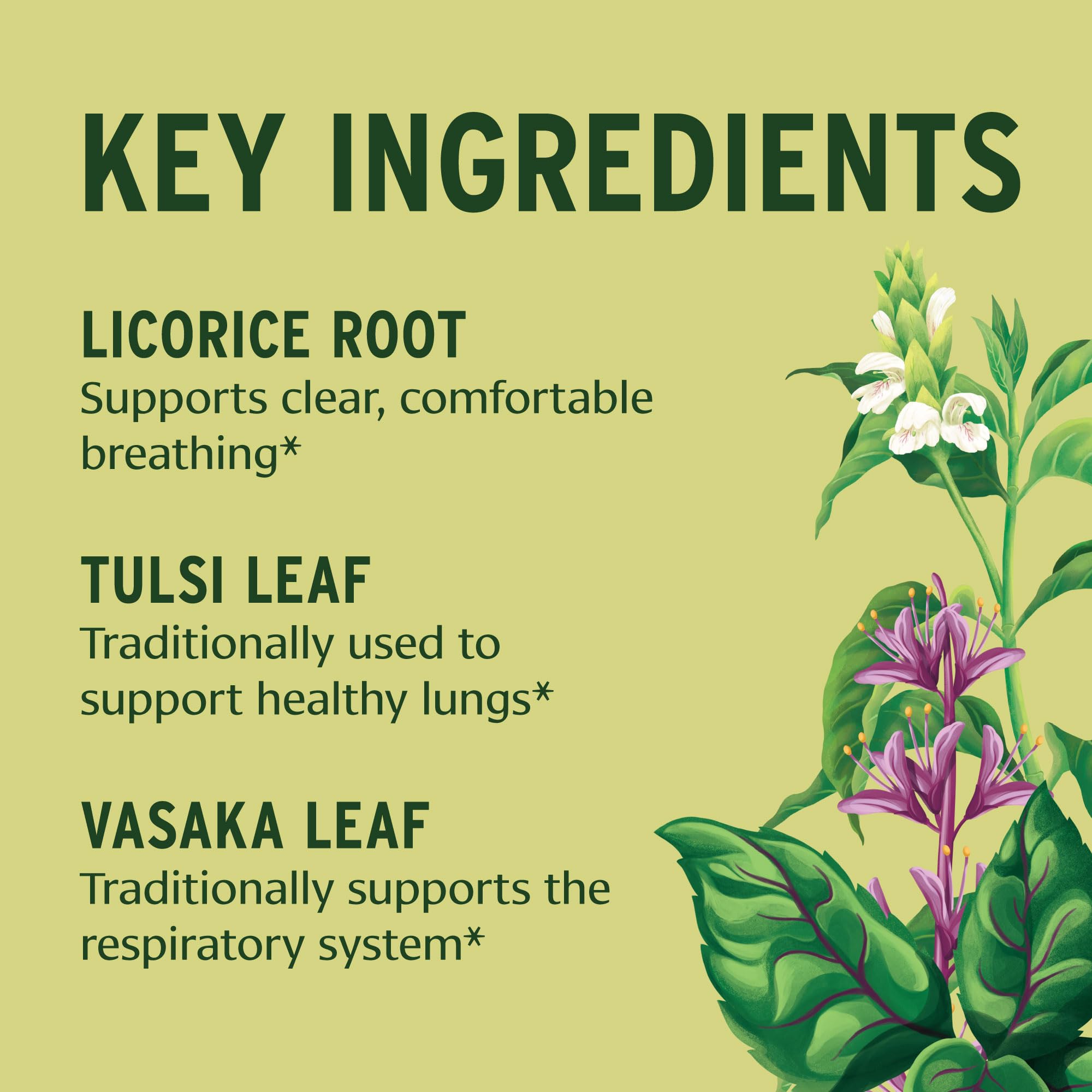 Foto 4 pulgar | Suplemento Banyan Botanicals Lung Formula 90 Comprimidos - Venta Internacional.