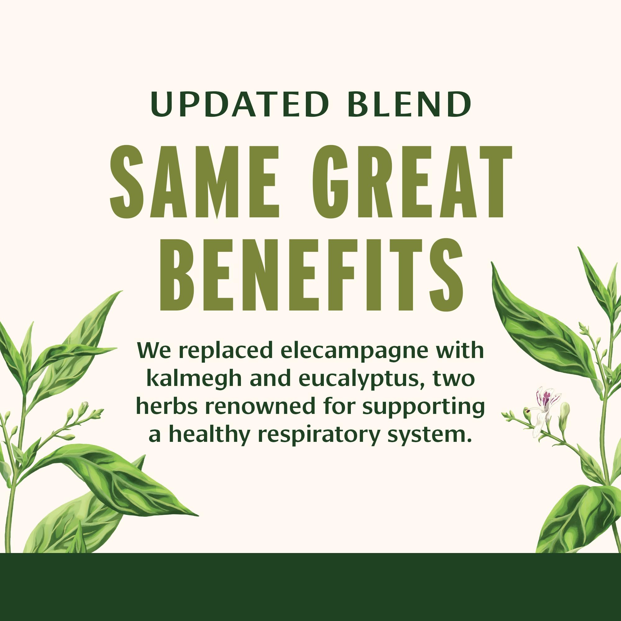 Foto 5 pulgar | Suplemento Banyan Botanicals Lung Formula 90 Comprimidos - Venta Internacional.
