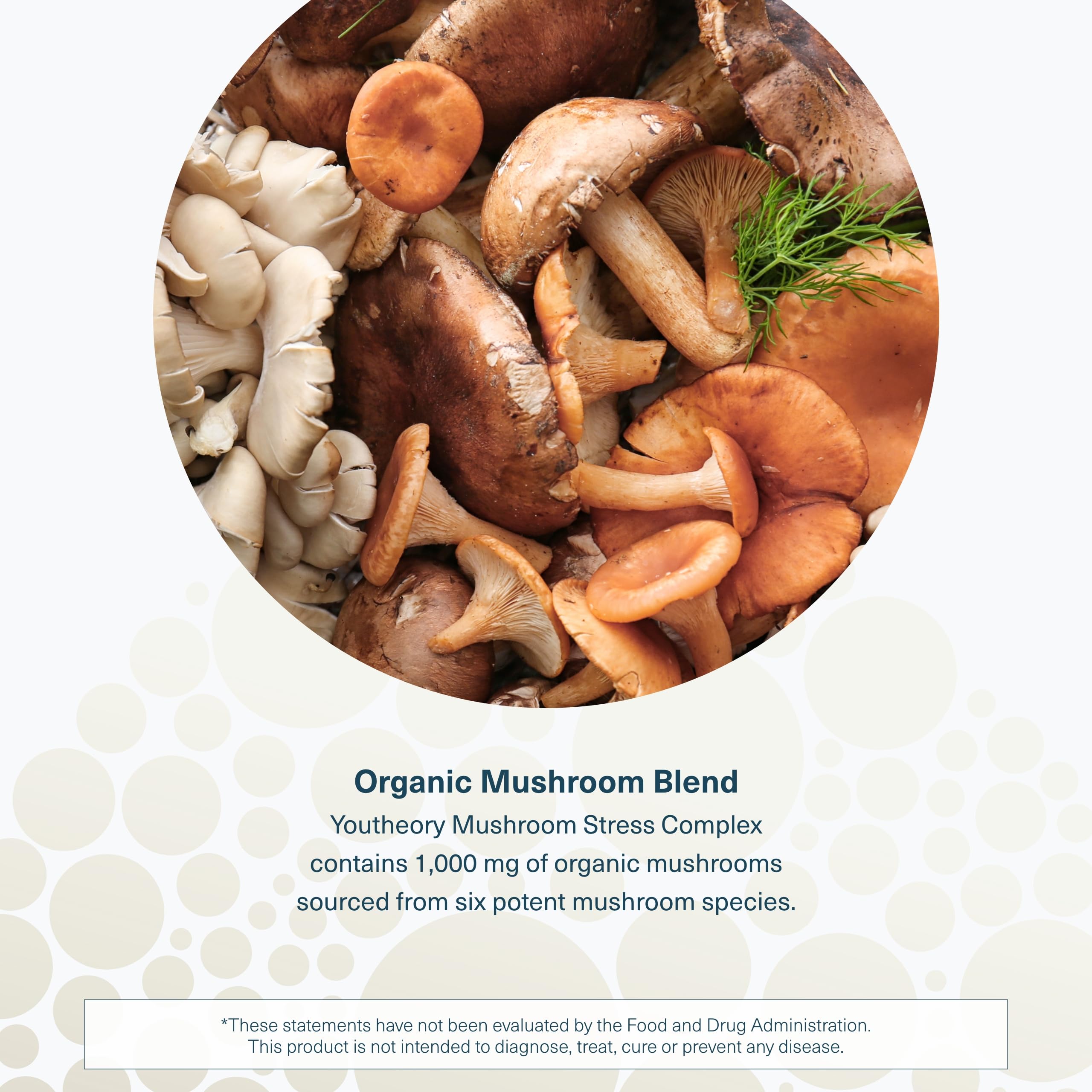 Foto 5 | Suplemento Youtheory Mushroom Immune Complex 60 Cápsulas - Venta Internacional.