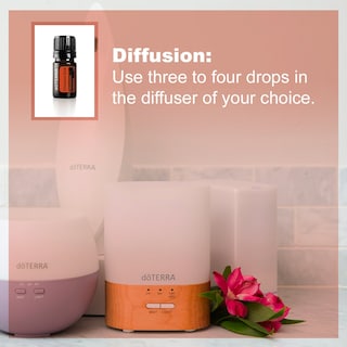 Foto 4 | Aceite Esencial De Corteza De Canela Doterra 5 Ml - Venta Internacional.