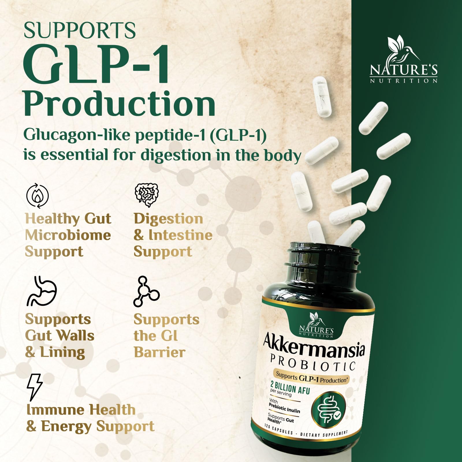 Foto 5 | Suplemento Nature's Nutrition Glp-1 Akkermansia 2b Afu 120 Cápsulas - Venta Internacional.
