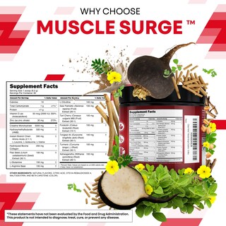 Foto 4 | Suplemento Clean Nutra Creatine Power Para Hombre 269 G - Venta Internacional.