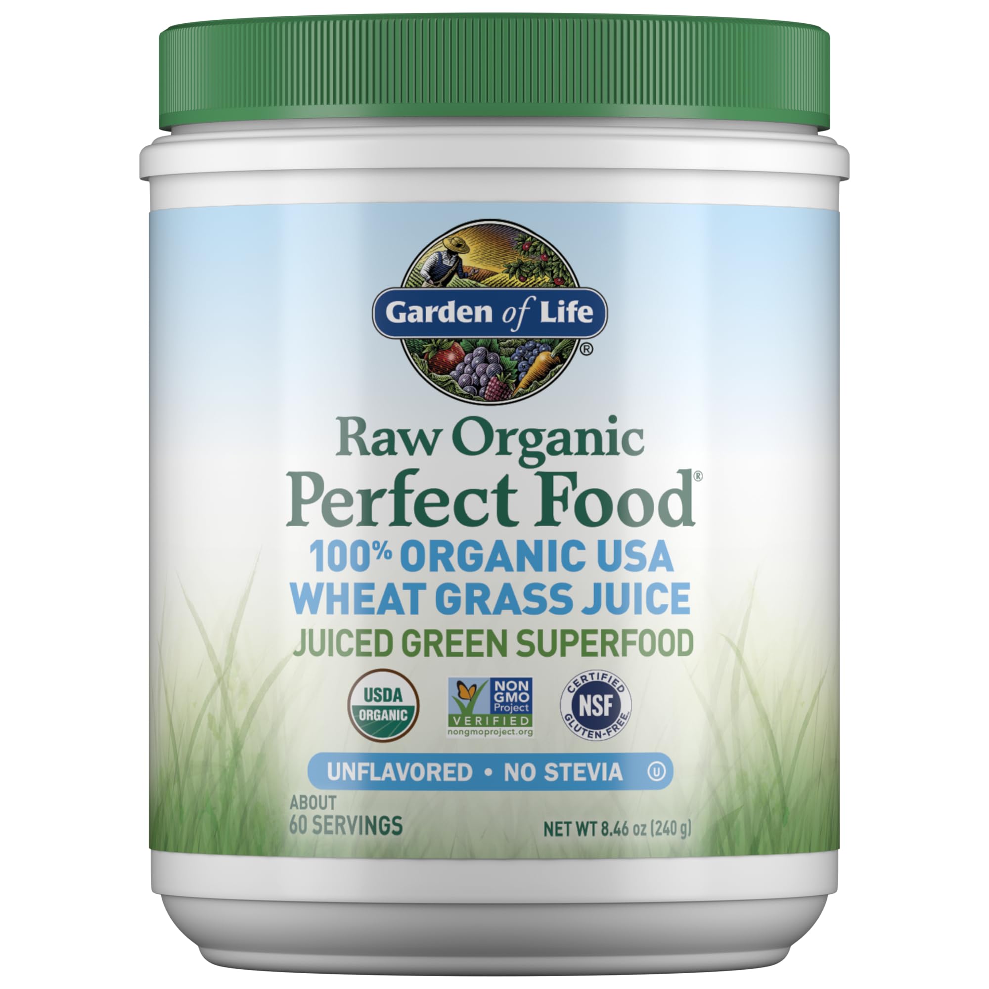 Foto 2 pulgar | Suplemento Garden Of Life Raw Perfect Food  Hierba De Trigo  250 Ml - Venta Internacional.