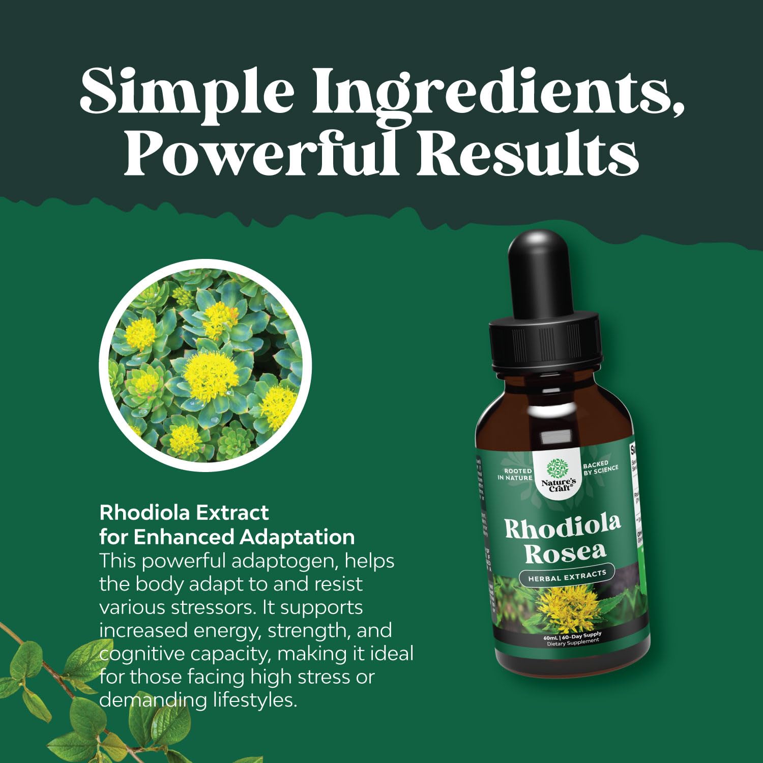 Foto 7 pulgar | Tintura De Rhodiola Rosea Natures Craft De Alta Potencia  60 Ml - Venta Internacional.