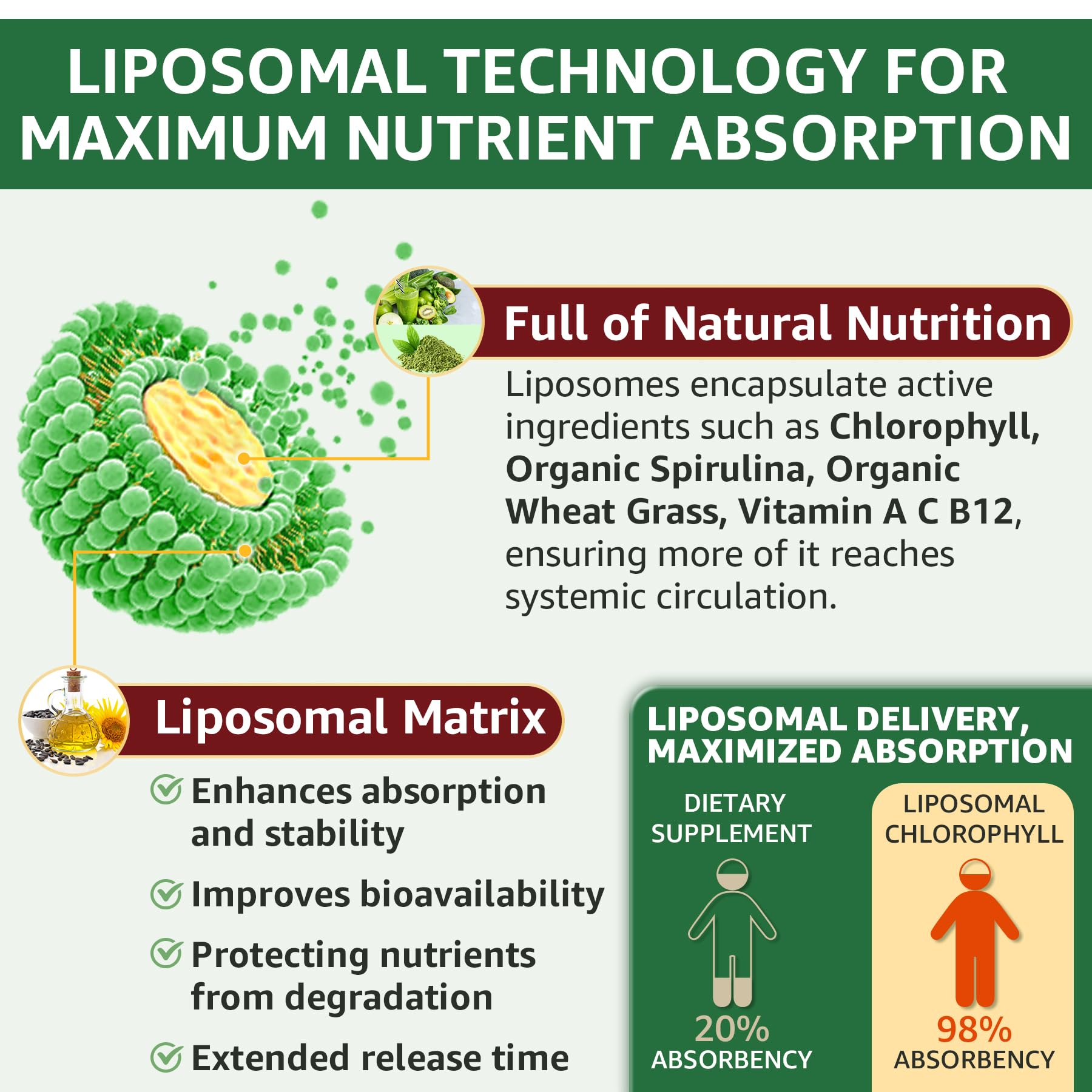 Foto 4 pulgar | Suplemento Líquido De Clorofila Orgánica Lilicare  60 Ml  Liposomal - Venta Internacional.