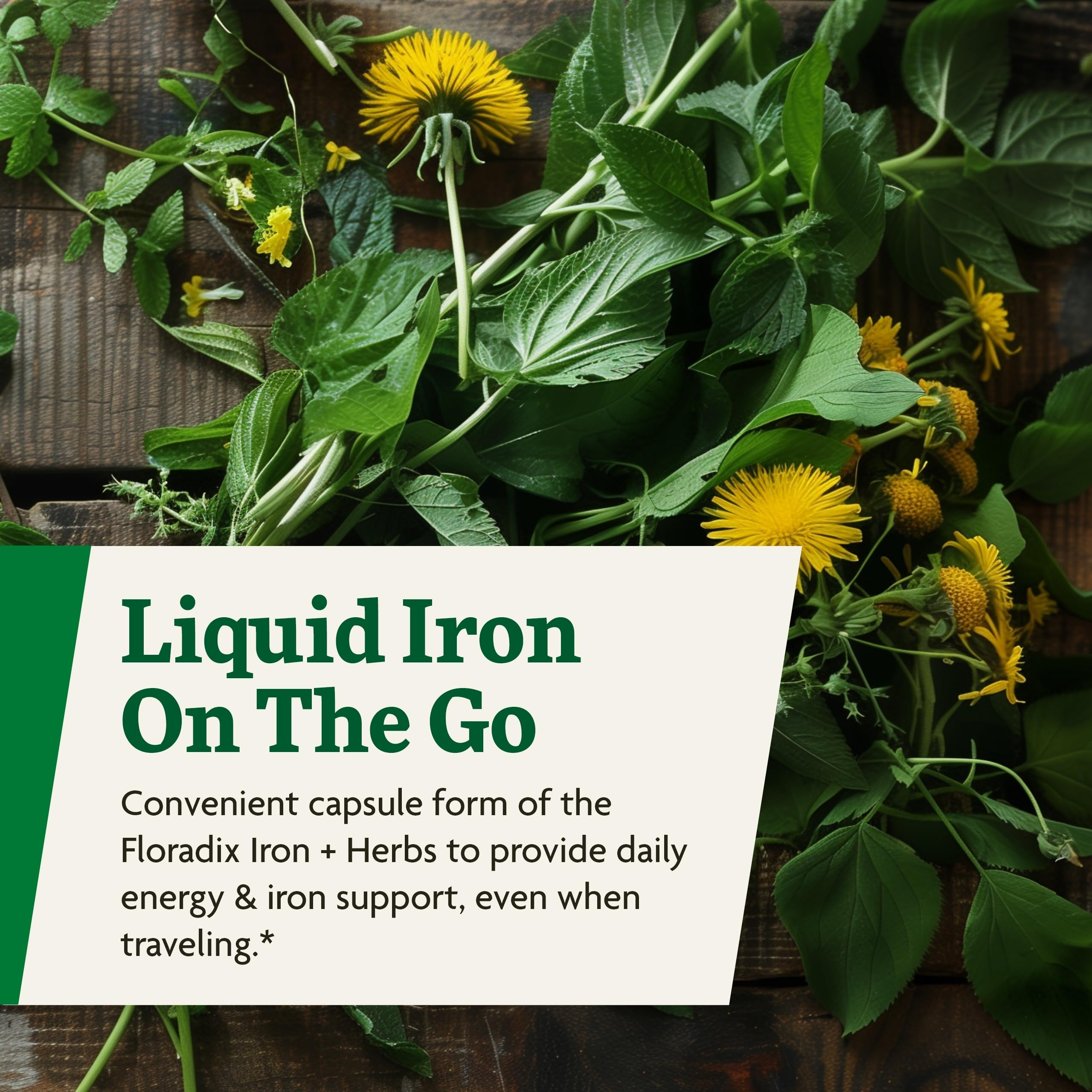 Foto 7 | Suplemento De Hierro Floradix Iron + Herbs 60 Fitocápsulas Líquidas - Venta Internacional.