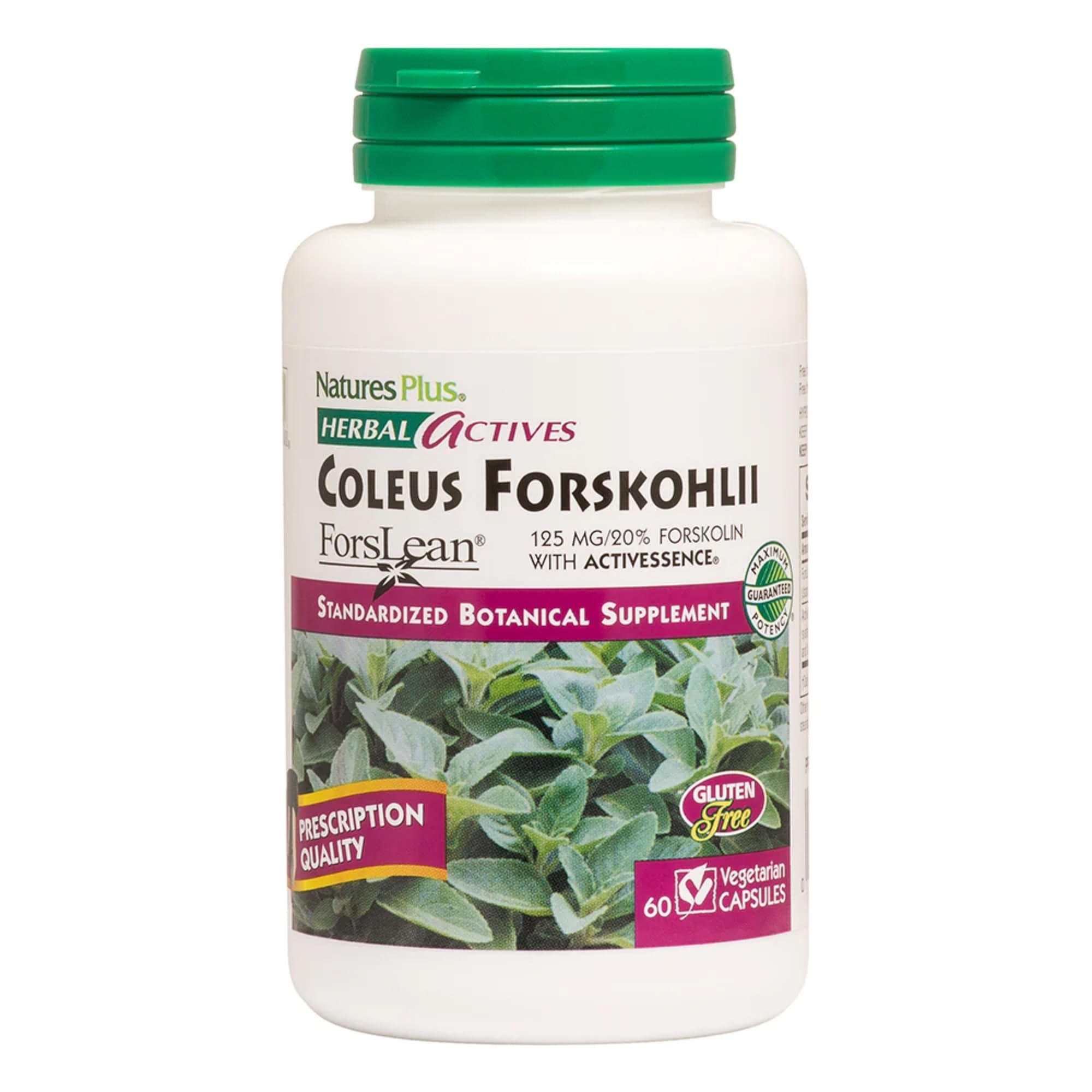Foto 2 pulgar | Suplemento Naturesplus Herbal Actives Coleus Forskohlii 60 Cápsulas - Venta Internacional.