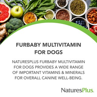 Foto 2 | Multivitamínico Para Perros Naturesplus Furbaby 300 Ml Apoya Las Articulaciones - Venta Internacional.