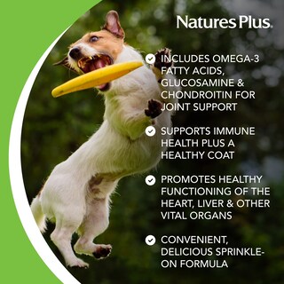 Foto 3 | Multivitamínico Para Perros Naturesplus Furbaby 300 Ml Apoya Las Articulaciones - Venta Internacional.
