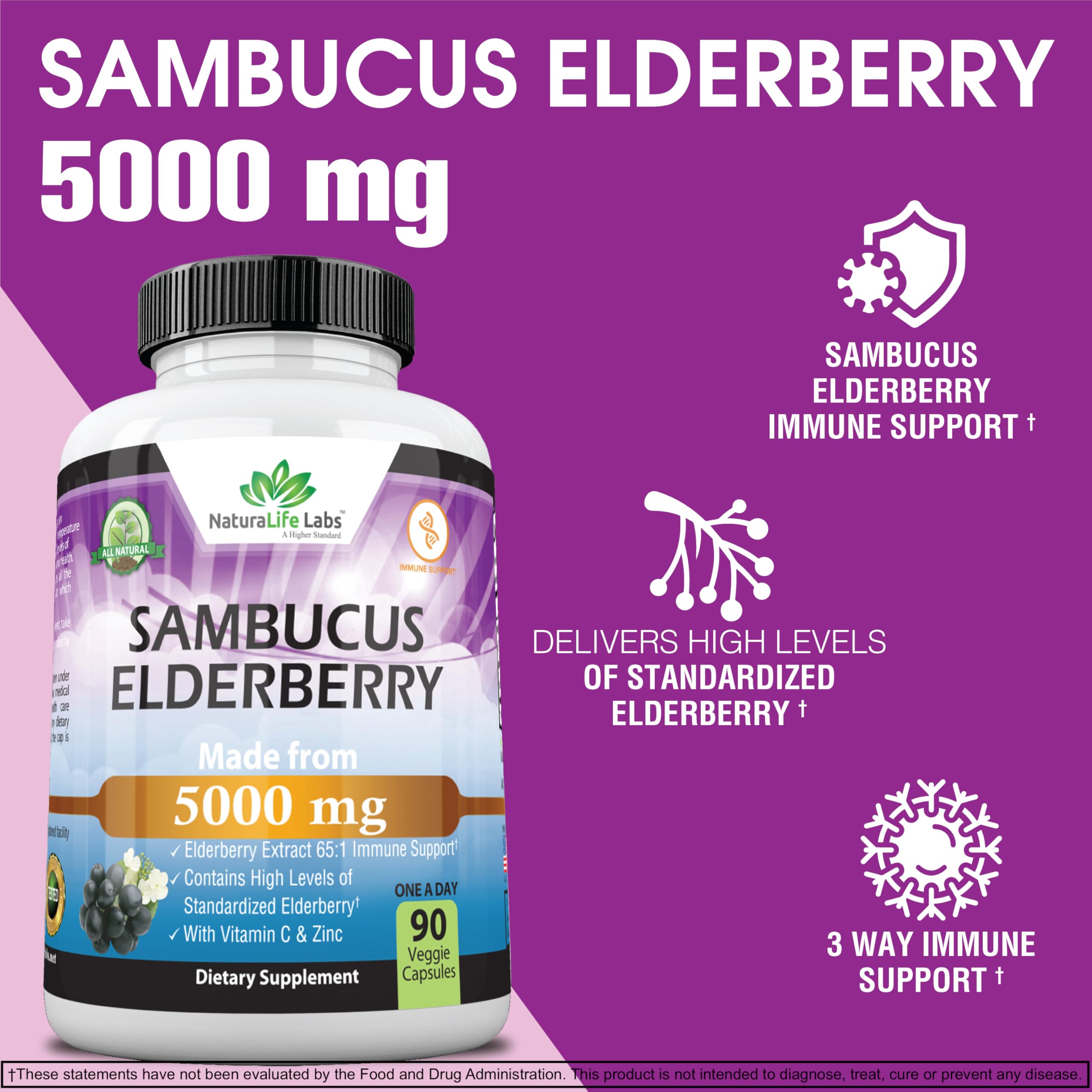 Foto 2 | Suplemento Naturalife Labs Sambucus Elderberry De 5000 Mg Con Vitamina C Y Zinc  90 Cápsulas Vegetarianas - Ven