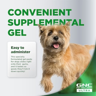 Foto 4 | Venta Internacional - Gel Multivitamínico Para Mascotas Gnc Pets Ultra Para Perros, Sabor A Malta