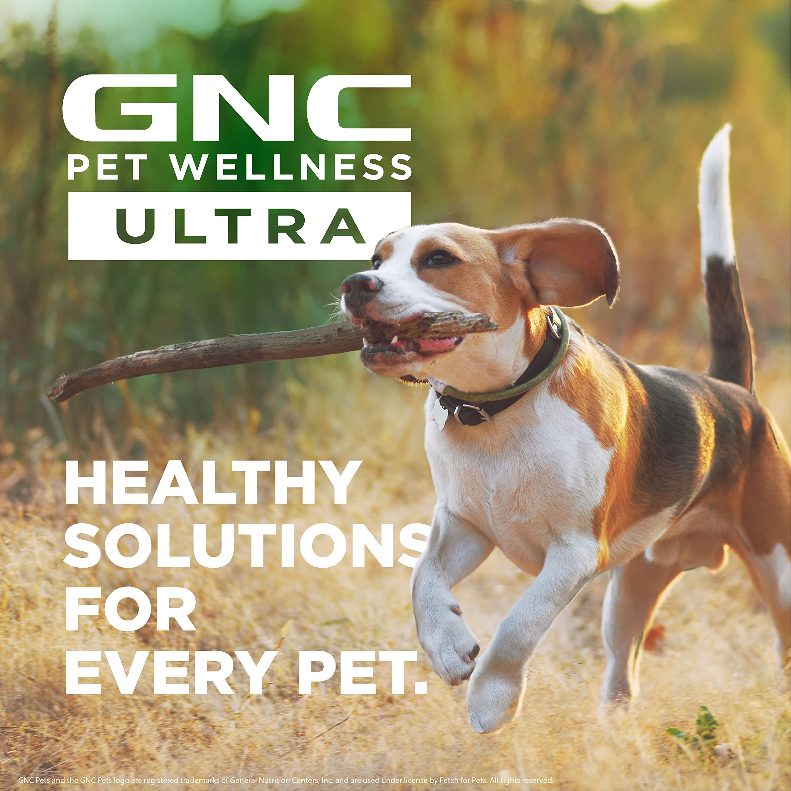 Foto 8 pulgar | Venta Internacional - Gel Multivitamínico Para Mascotas Gnc Pets Ultra Para Perros, Sabor A Malta
