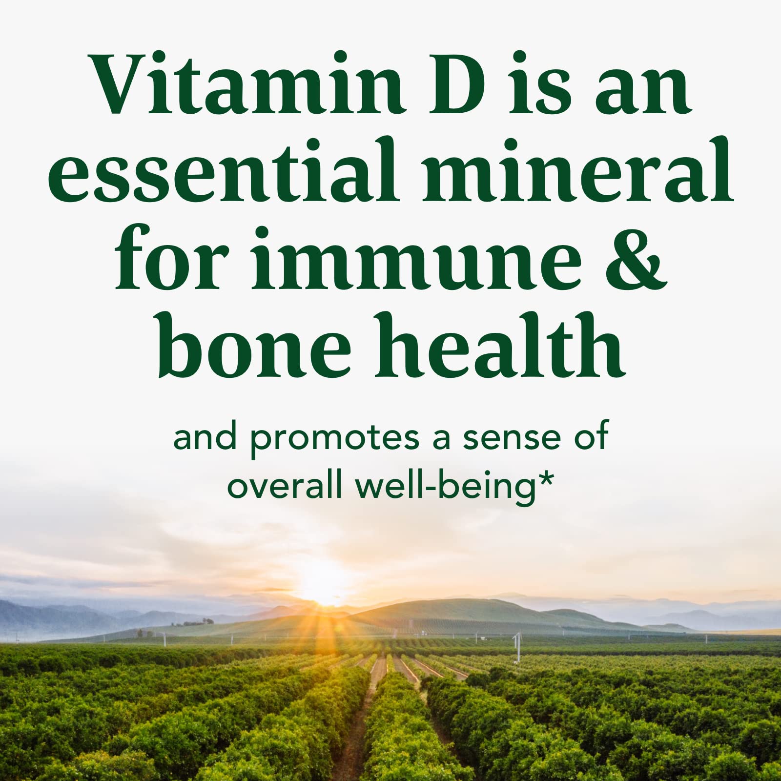 Foto 4 | Venta Internacional - Suplemento Megafood De Vitamina D3, 1000 Ui, Apoyo Inmunológico, 60 Tabletas