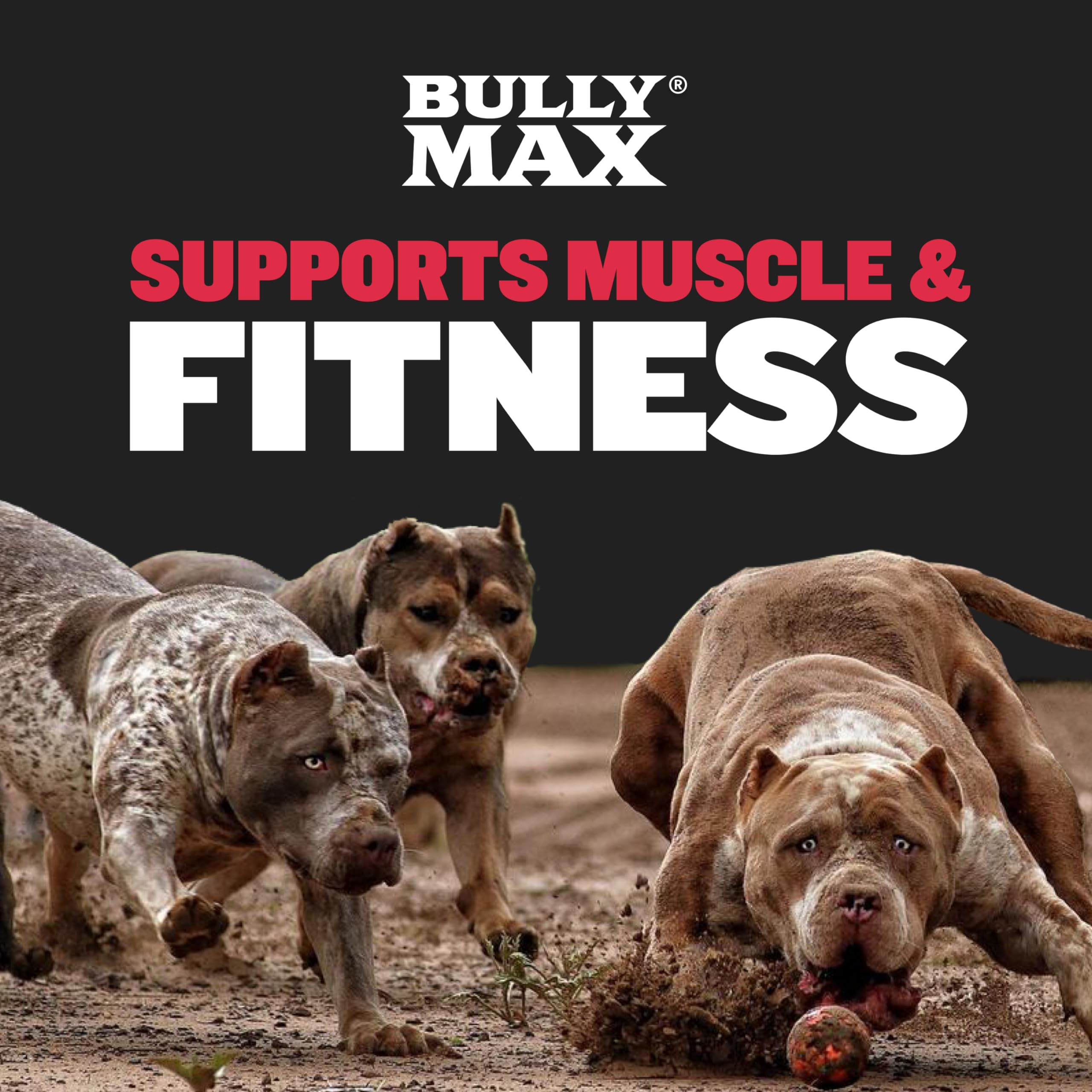 Foto 6 pulgar | Suplemento Bully Max Weight Gainer para Perros Paquete de 300 g - Venta Internacional