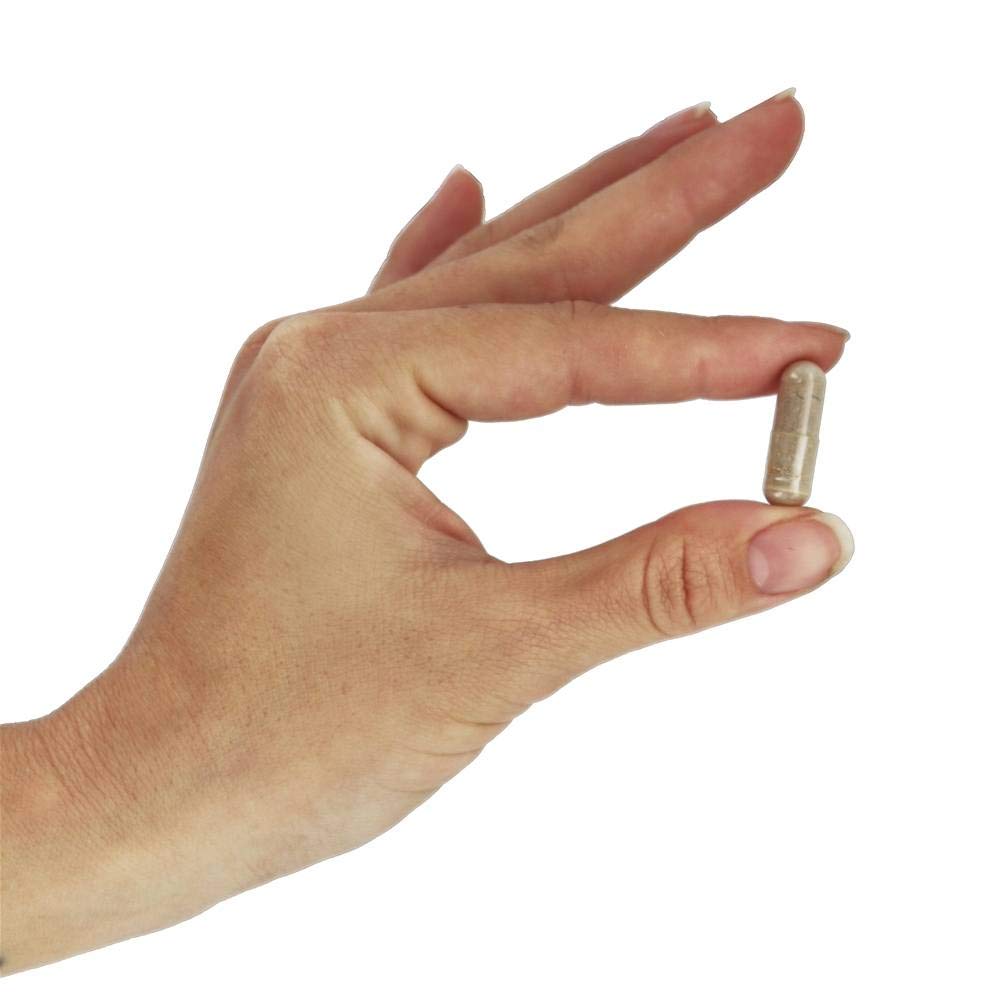 Foto 6 pulgar | Suplemento Now Propolis 1500 Mg con Concentrado 5:1 100 Cápsulas - Venta Internacional