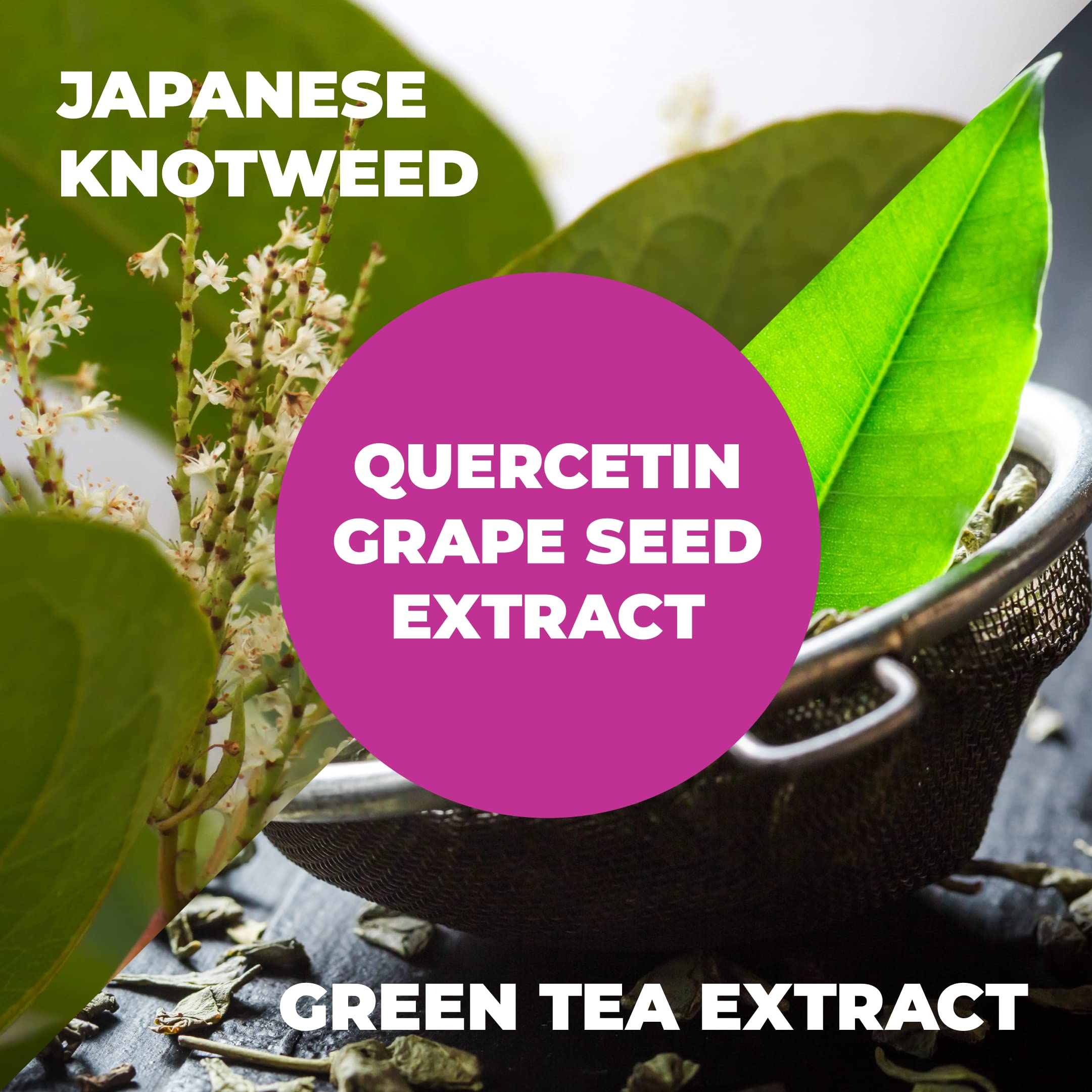 Foto 6 pulgar | Suplemento De Resveratrol Japonés De Hierba Nudosa De Vimerson Health - Venta Internacional.