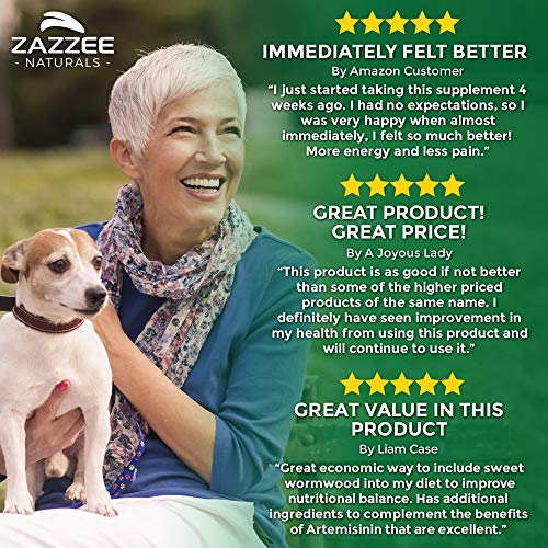 Foto 5 | Suplemento Zazzee (artemisinina, 100 Mg, Cápsulas, 120 Veganas) - Venta Internacional.
