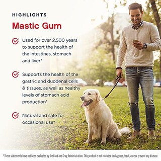 Foto 4 | Suplemento Jarrow Formulas Mastic Gum, 1000 Mg, 60 Cápsulas Vegetarianas - Venta Internacional.