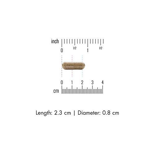 Foto 5 | Suplemento Dr. Mercola Germinado De Brócoli Germinado 30 Cápsulas - Venta Internacional.