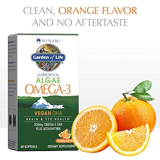 Foto 3 | Suplemento Garden Of Life Minami Algae Omega 3 Vegan Dha 500 - Venta Internacional.