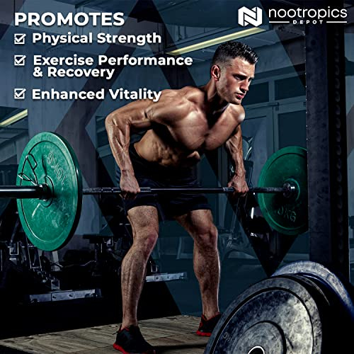 Foto 3 | Suplemento Nootropics Depot Cistanche Tubulosa 200 Mg 60 Tabletas - Venta Internacional.