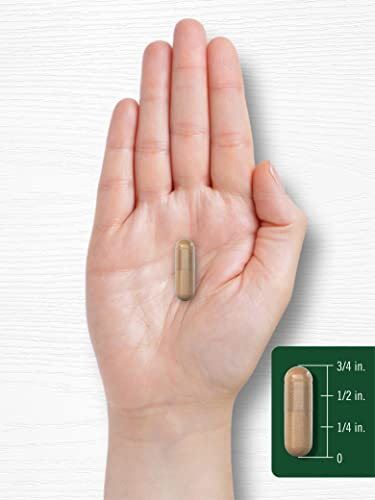 Foto 7 | Suplemento Carlyle Vitex Sauzgatillo 820 Mg 150 Cápsulas - Venta Internacional.