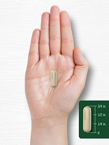 Foto 8 pulgar | Suplemento Carlyle Purslane 500 Mg 120 Cápsulas - Venta Internacional.