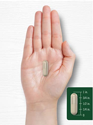 Foto 8 pulgar | Suplemento Carlyle Silica 500 Mg 200 Cápsulas Horsetail Extra - Venta Internacional.