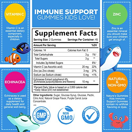 Foto 3 pulgar | Gummies Nature's Gummies Immune Support Kids 60 Unidades - Venta Internacional.