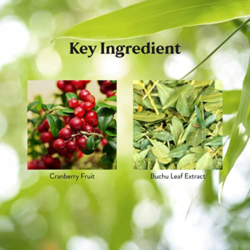 Foto 5 | Suplemento Nature's Sunshine De Arándano Y Buchu, 100 Cápsulas - Venta Internacional.