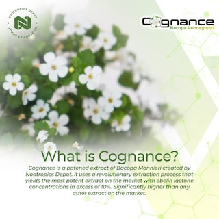 Foto 5 | Suplemento Nootropics Depot Cognance Enhanced Bacopa 100 Mg - Venta Internacional.