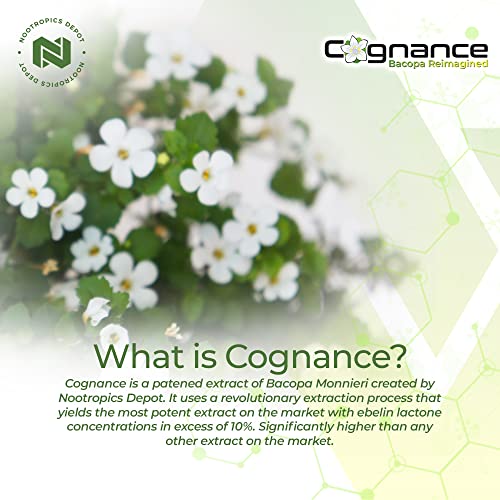 Foto 7 pulgar | Suplemento Nootropics Depot Cognance Enhanced Bacopa 100 Mg - Venta Internacional.