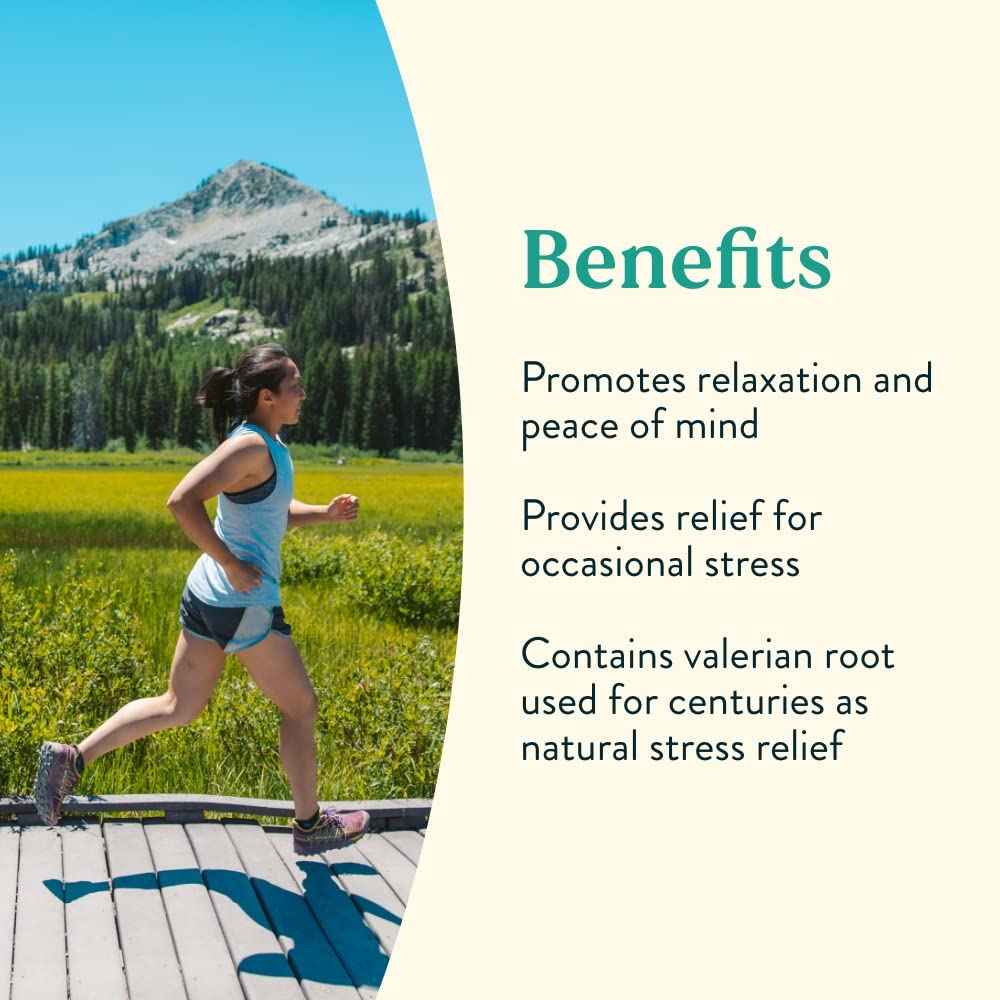 Foto 5 pulgar | Complemento Nature's Sunshine Nutri-calm Complejo B Vitamina - Venta Internacional