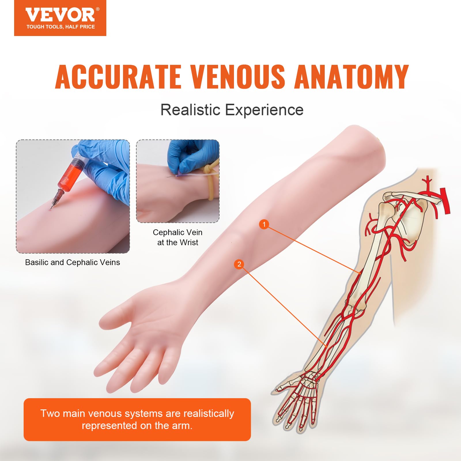 Foto 3 pulgar | Kit De Práctica De Flebotomía, Brazo De Entrenamiento Para Venopunción Vevor Iv - Venta Internacional.