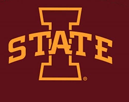 Foto 3 pulgar | Mascarilla Facial Champion Iowa State Cyclones Youth, Tela De 1 Capa - Venta Internacional.