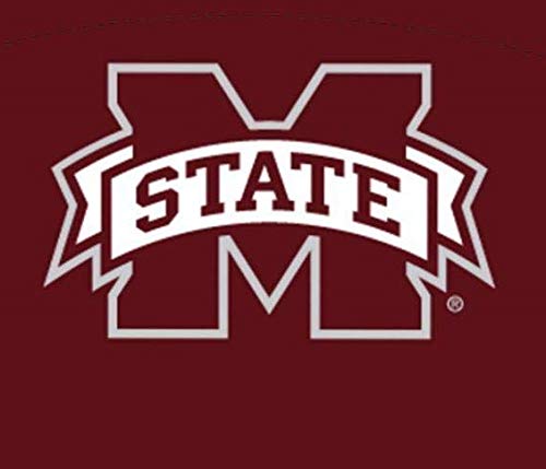 Foto 2 | Mascarilla Champion Mississippi State Bulldogs Youth - Venta Internacional.