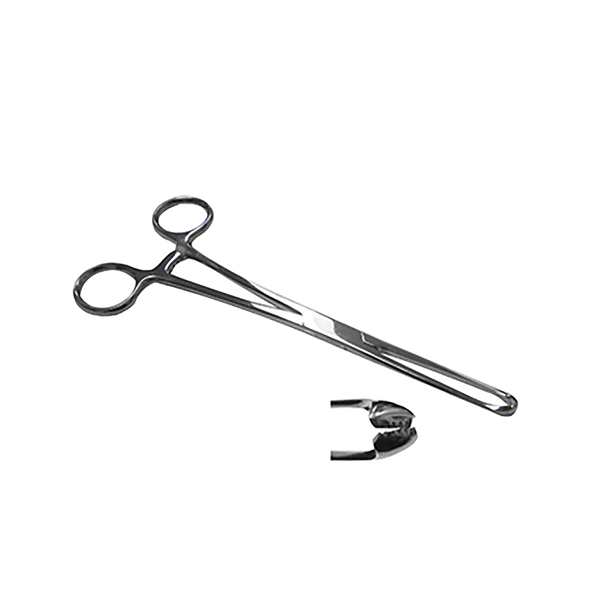 Pinza Allis 18 cm de Acero Inoxidable Hergom Silvery