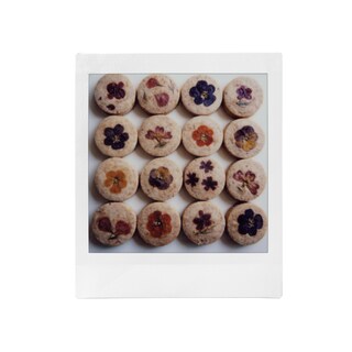 Foto 4 | Película Fujifilm Instax Square 10 Hojas