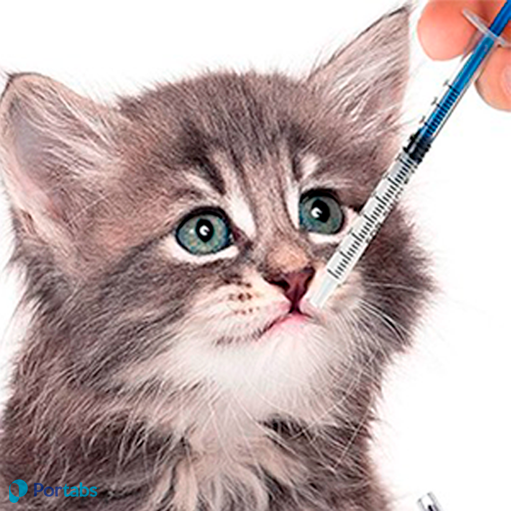 Foto 5 pulgar | Jeringas Reutilizables de 1 ml con Medición 20 Piezas