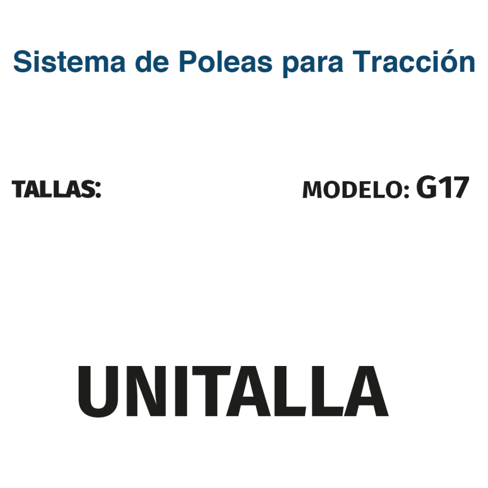 Foto 5 pulgar | Kit Sistema Poleas para Tracción de Cama Acero Tynor G17