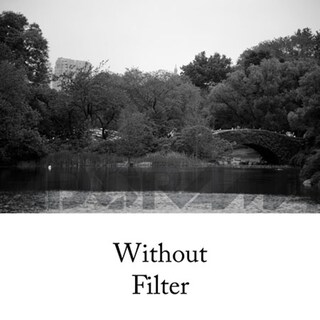 Foto 2 | Filtro Tiffen 72 Mm 8 (amarillo) De Vidrio Para Blanco Y Negro - Venta Internacional.