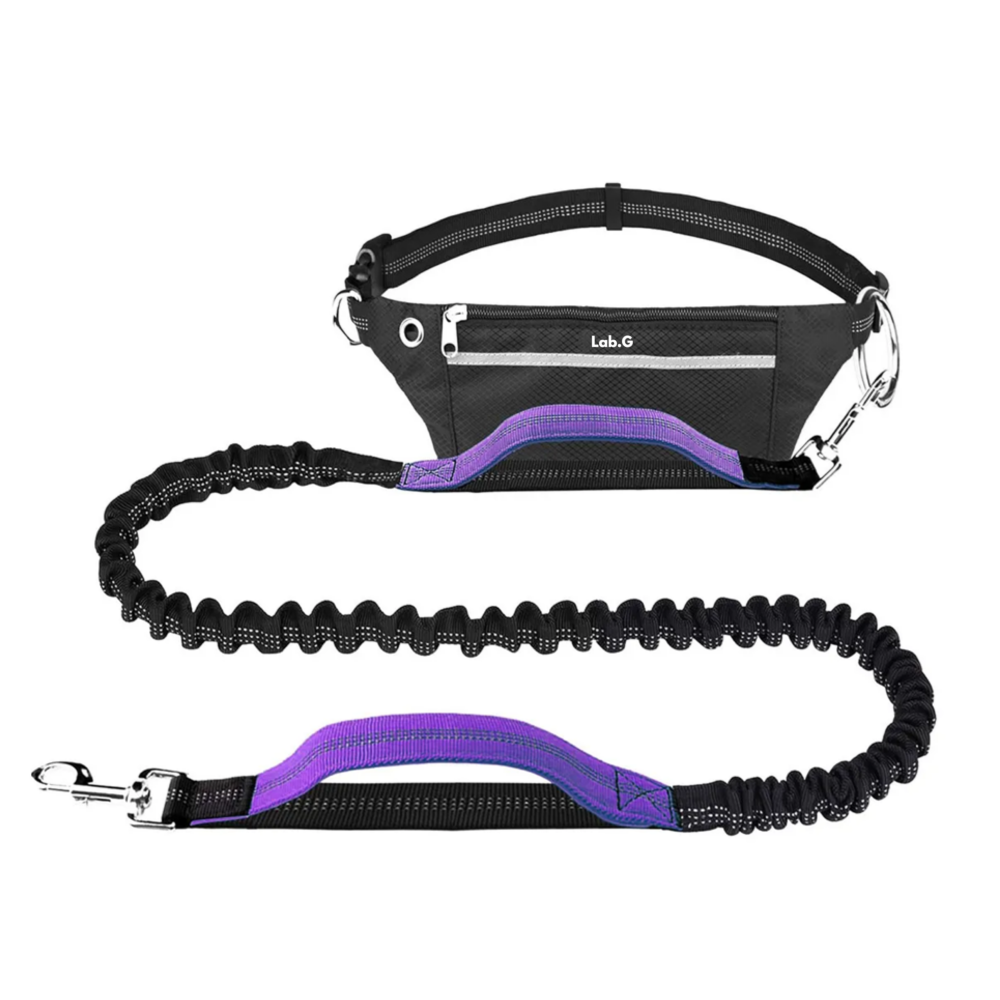 Riñonera+correa Para Perro Manos Libres Para Caminar +correr Lab.g,  Negro Morado